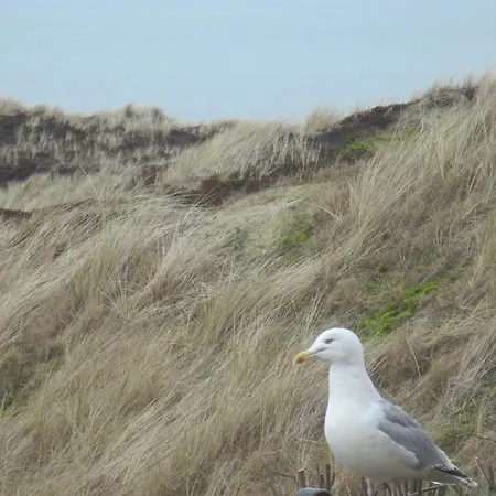 Lejlighed Strandduene Hörnum